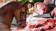 Gıdada Hile Listesi Güncellendi: Köfte ve Sucukta 'Tek Tırnaklı' ve 'Domuz Eti' Skandalı!